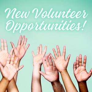 Volunteer Opportunities Available